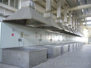 泉州高性價比噴碼機配套設備廠家直銷，助力蔬菜行業高效標識