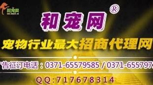 寵物食品行業新浪潮 線上招商代理與網絡銷售一體化趨勢探析